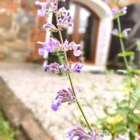 2 Sypialnie I 2 Ogródki W Zabytkowym Budynku Wydminy